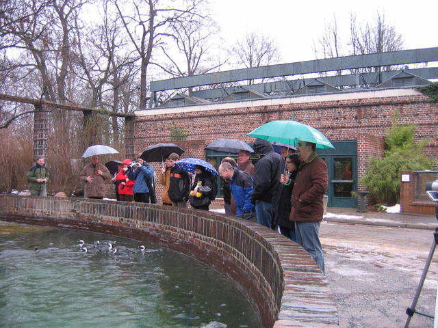640x480/img_2558.jpg