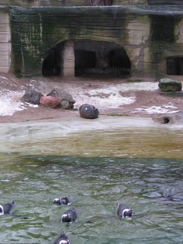640x480/img_2562.jpg