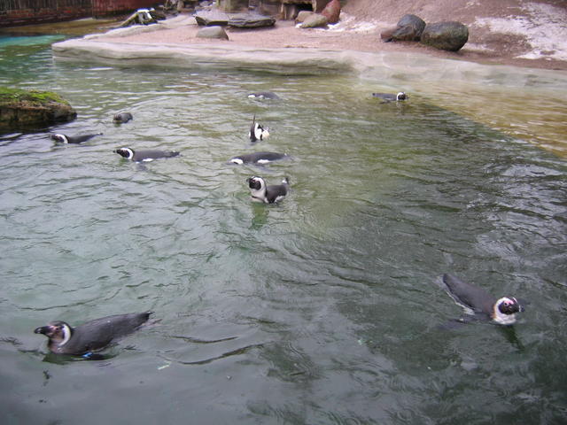 640x480/img_2569.jpg