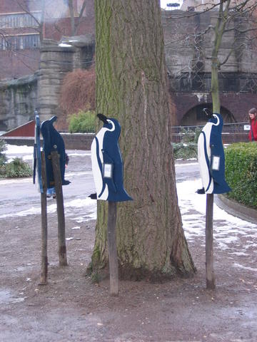 640x480/img_2576.jpg