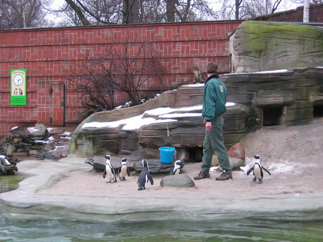 640x480/img_2581.jpg