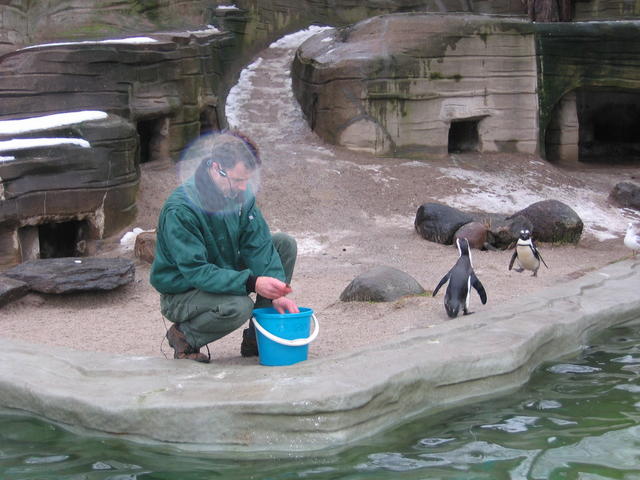 640x480/img_2588.jpg