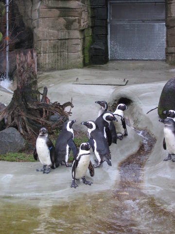 640x480/img_2593.jpg