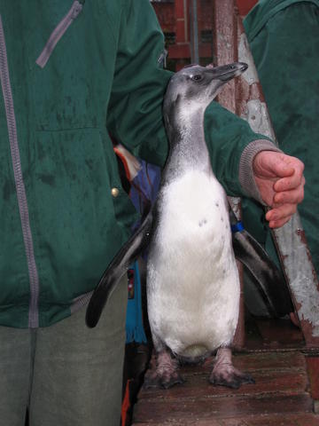640x480/img_2596.jpg