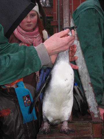640x480/img_2597.jpg