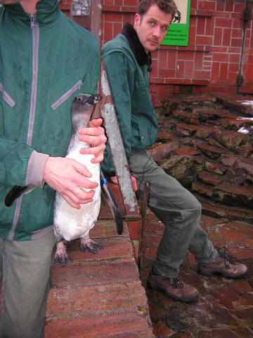 640x480/img_2604.jpg