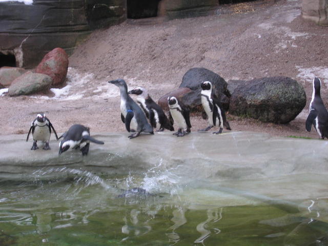 640x480/img_2606.jpg