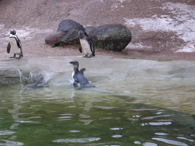 640x480/img_2607.jpg