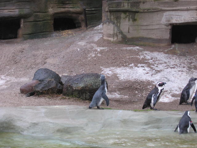640x480/img_2612.jpg
