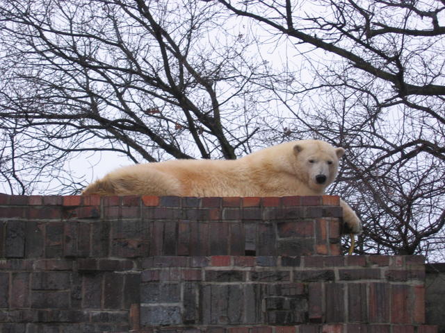 640x480/img_2621.jpg
