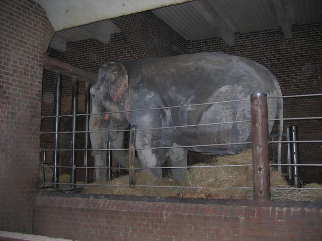 640x480/img_2623.jpg