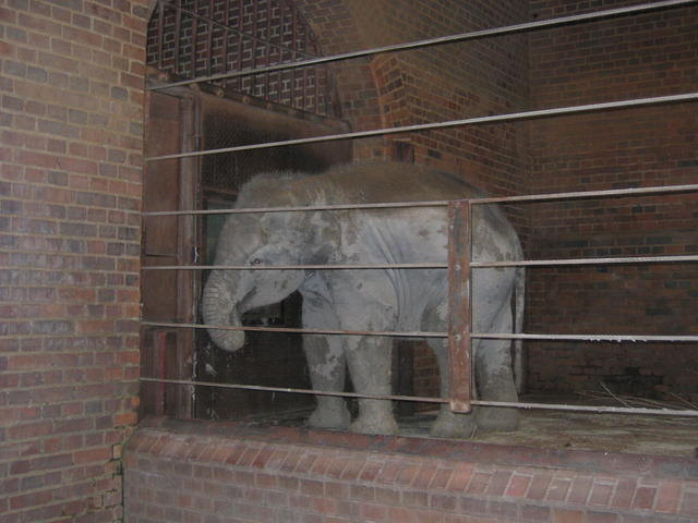 640x480/img_2629.jpg