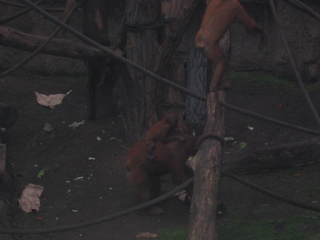 640x480/img_2644.jpg