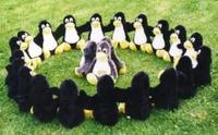 Pinguin-Trust