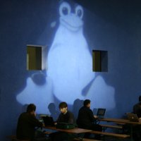 Penguin Projection 2007